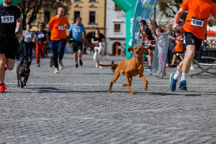 151775665613avtor-Jani-Brajkovič JB_M2967.webp-nm-tek.si